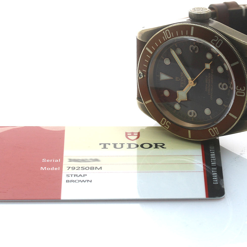 TUDOR Heritage Black Bay Bronze 79250BM Brown Dial Automatic Men's Watch_868936