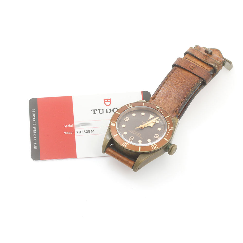 TUDOR Heritage Black Bay Bronze 79250BM Brown Dial Automatic Men's Watch_868963