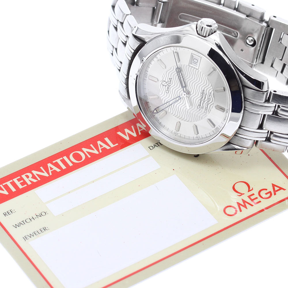OMEGA Seamaster120 2501.31 Date Silver Dial Automatic Men's Watch_872540