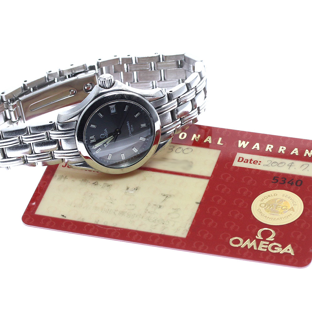 OMEGA Seamaster120 2581.43 Date gray Dial Quartz Ladies Watch_886362