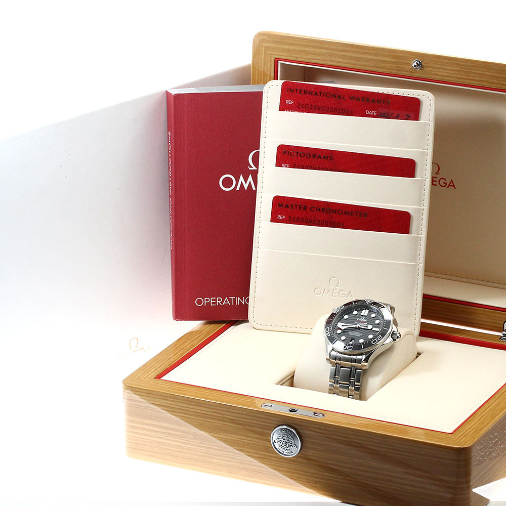 OMEGA Seamaster300 210.30.42.20.01.001 black Dial Automatic Men's Watch_894002