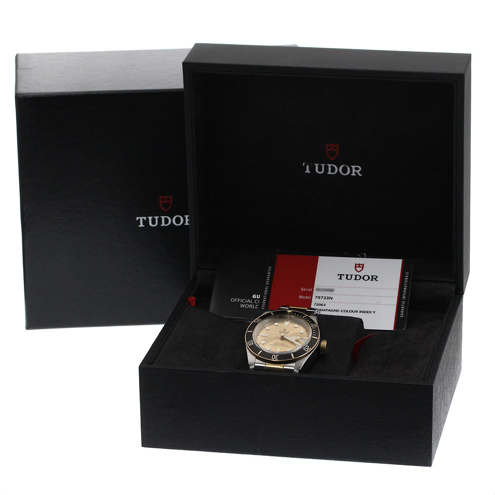 TUDOR Heritage Black Bay 79733N Date Gold Dial Automatic Men's Watch_902694