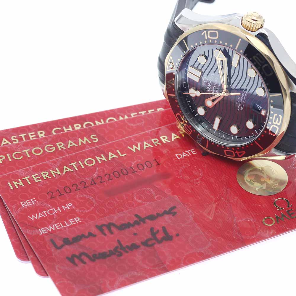 OMEGA Seamaster Diver 300M 210.22.42.20.01.001 Date Automatic Men's Watch_956111