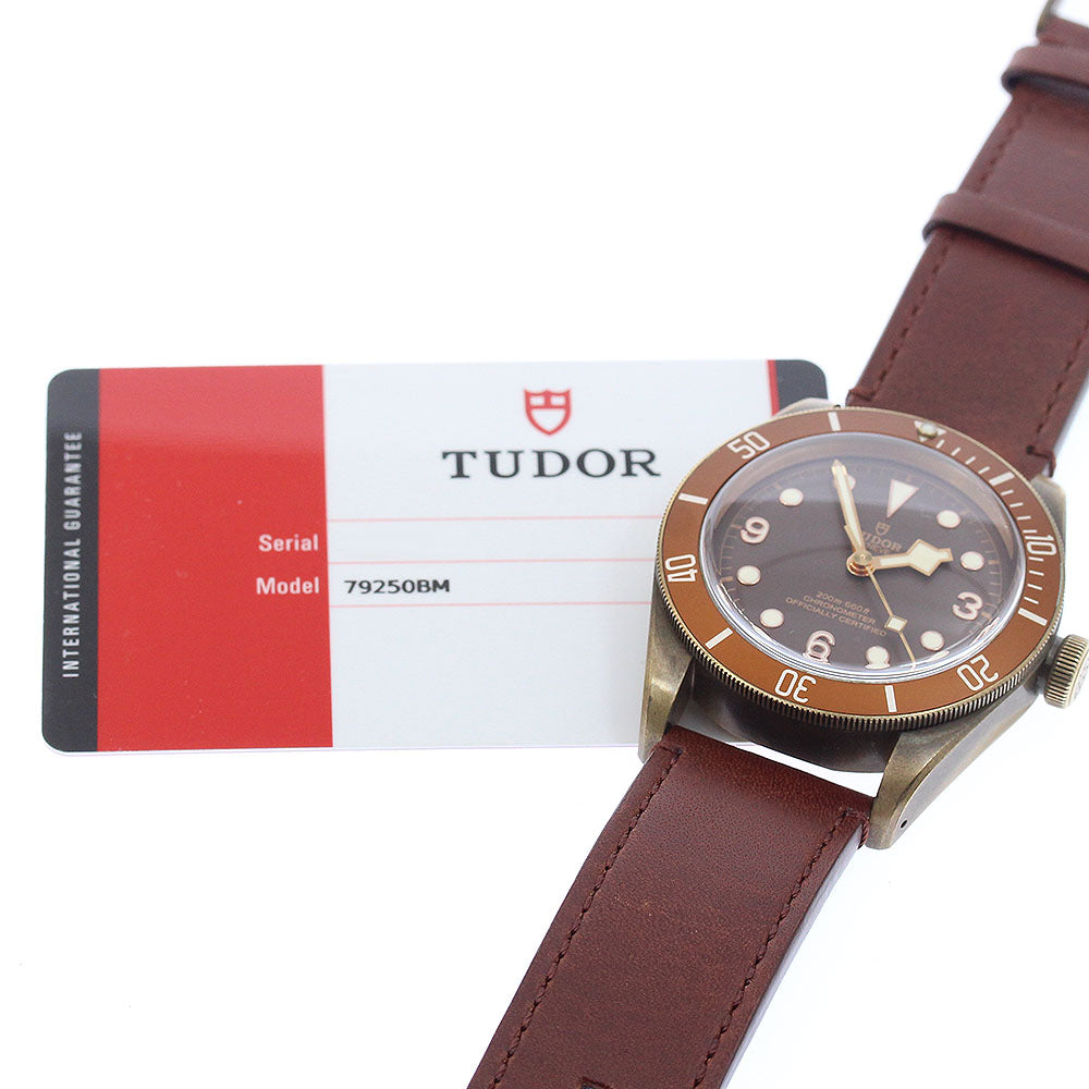 TUDOR Heritage Black Bay Bronze 79250BM Brown Dial Automatic Men's Watch_957894