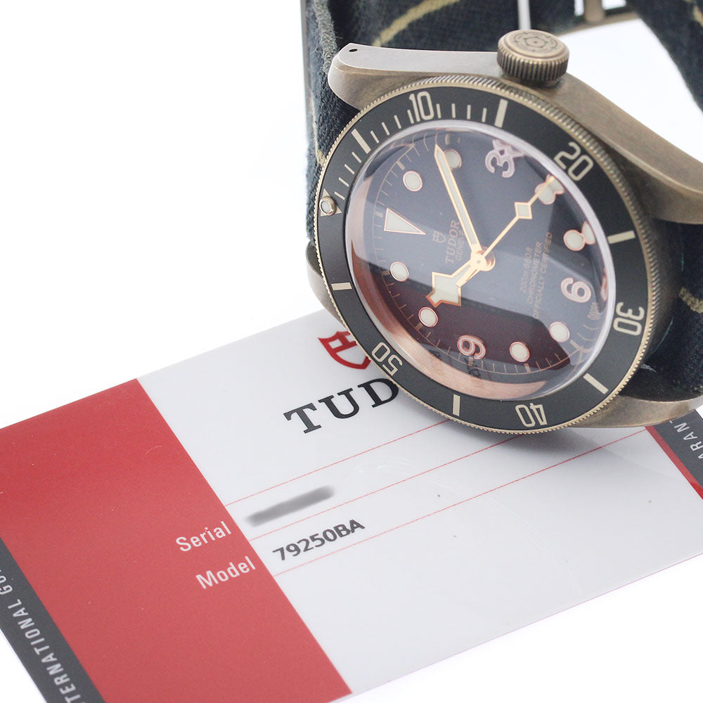 TUDOR Heritage Black Bay 79250BA bronze Gray Dial Automatic Men's Watch_958859