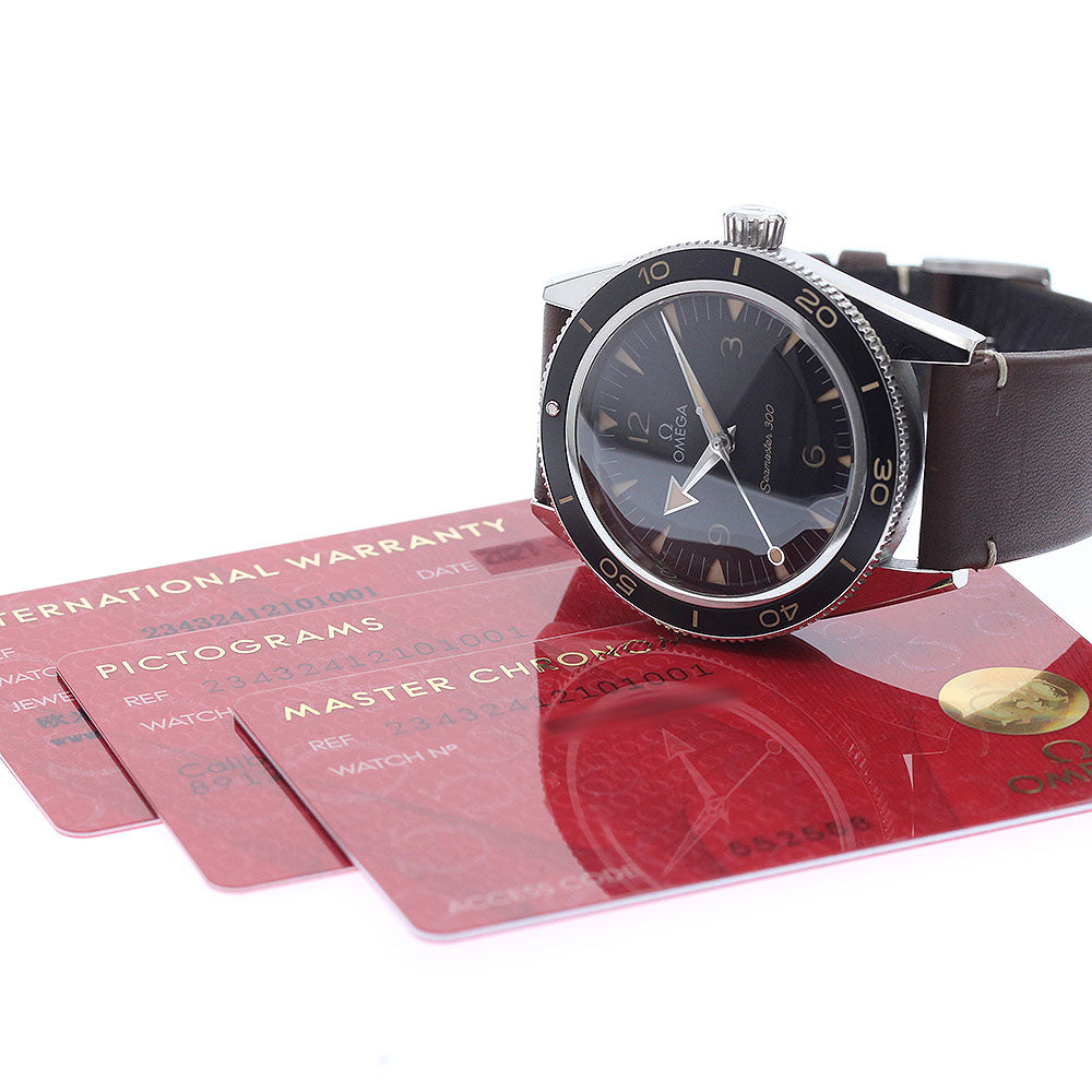 OMEGA Seamaster300 234.32.41.21.01.001 Co-Axial Automatic Men's Watch_973368