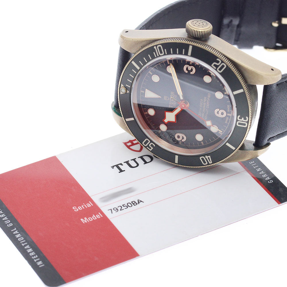 TUDOR Heritage Black Bay 79250BA Bronze Gray Dial Automatic Men's Watch_974045