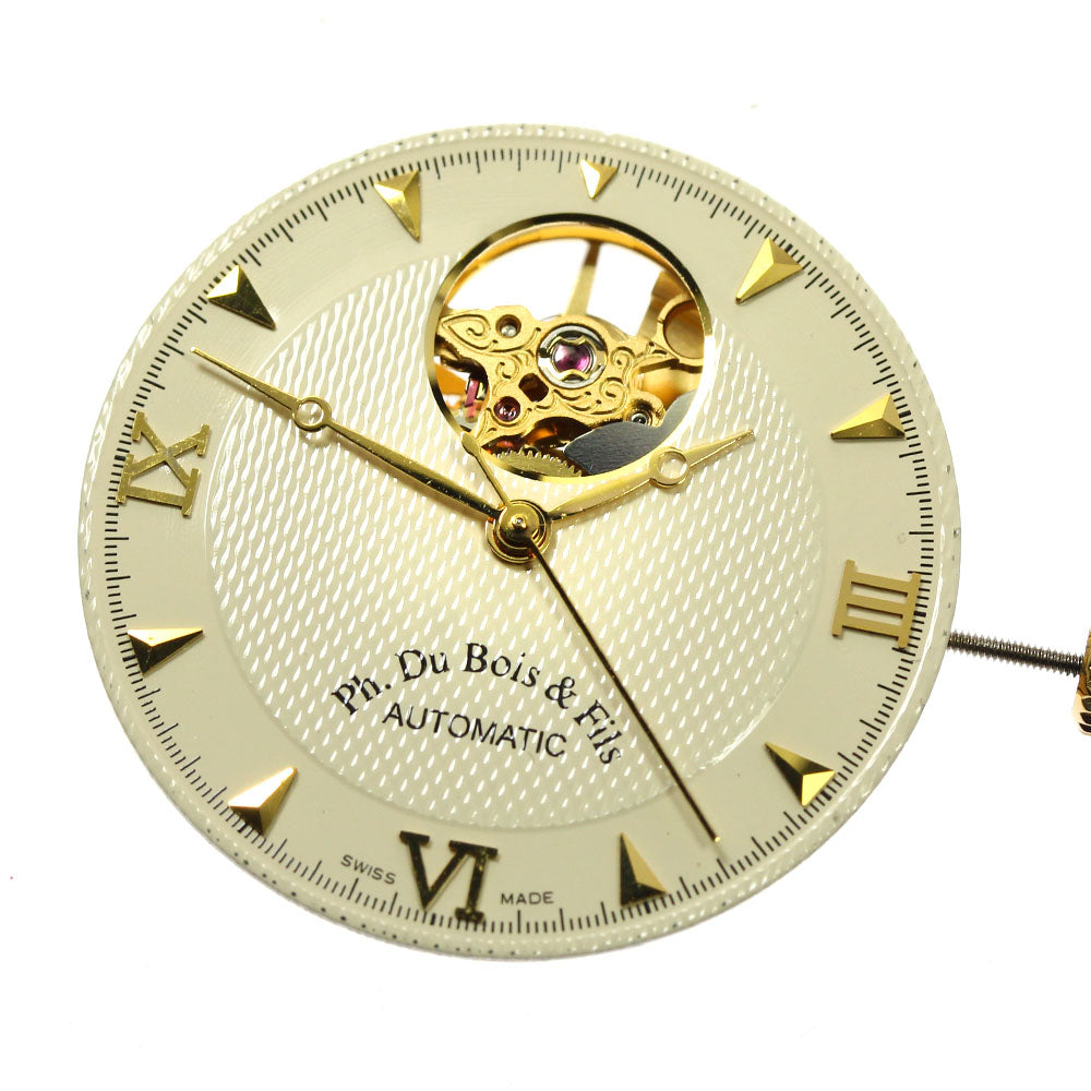 Philippe Du Bois &Fils Skeleton cal.2824-2 movement gold Dial Automatic Men's Watch_A-64